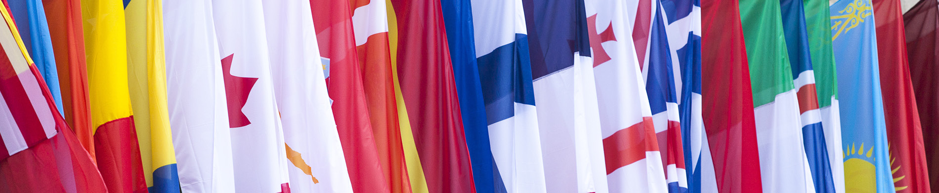 Center for Global Trade & Foreign Investment